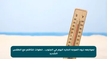 لمواجهة ذروة الموجة الحارة اليوم في الجنوب.. خطوات للتأقلم مع الطقس الشديد